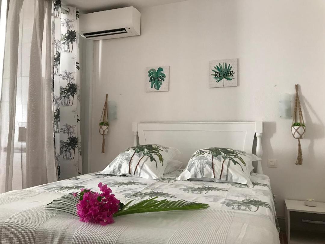 Coeur Tiare Studio Lounge Piscine Plage Cocotiers Saint-Francois  Exterior photo